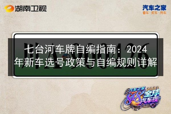 七台河车牌自编指南：2024年新车选号政策与自编规则详解 第3张
