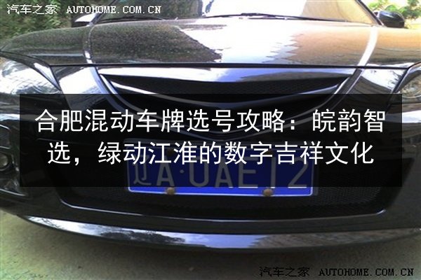 合肥混动车牌选号攻略:皖韵智选,绿动江淮的数字吉祥文化 第2张 合肥混动车牌选号攻略:皖韵智选,绿动江淮的数字吉祥文化 第2张