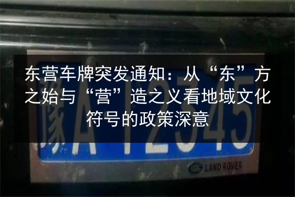 东营车牌突发通知：从“东”方之始与“营”造之义看地域文化符号的政策深意 第2张