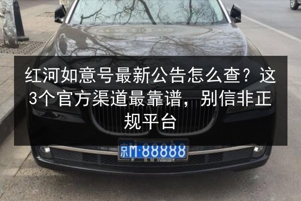 红河如意号最新公告怎么查？这3个官方渠道最靠谱，别信非正规平台