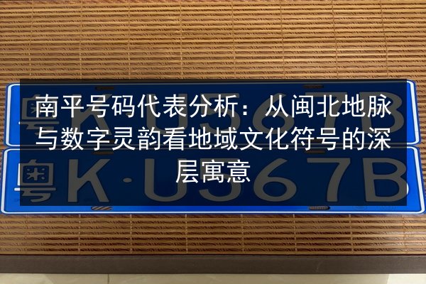 南平号码代表分析：从闽北地脉与数字灵韵看地域文化符号的深层寓意 第2张