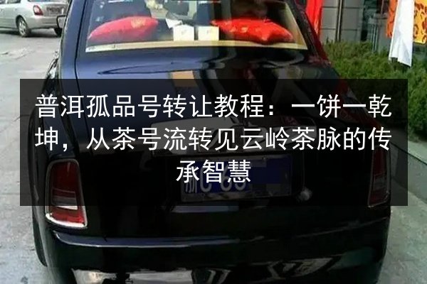 普洱孤品号转让教程：一饼一乾坤，从茶号流转见云岭茶脉的传承智慧