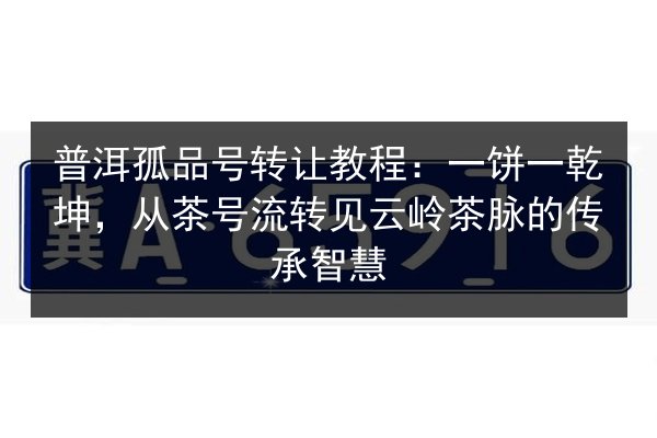 普洱孤品号转让教程：一饼一乾坤，从茶号流转见云岭茶脉的传承智慧 第2张