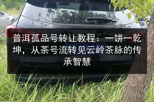 普洱孤品号转让教程：一饼一乾坤，从茶号流转见云岭茶脉的传承智慧 第3张