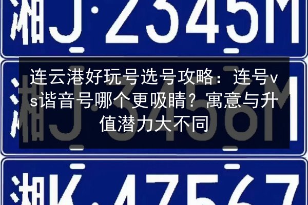 连云港好玩号选号攻略：连号vs谐音号哪个更吸睛？寓意与升值潜力大不同