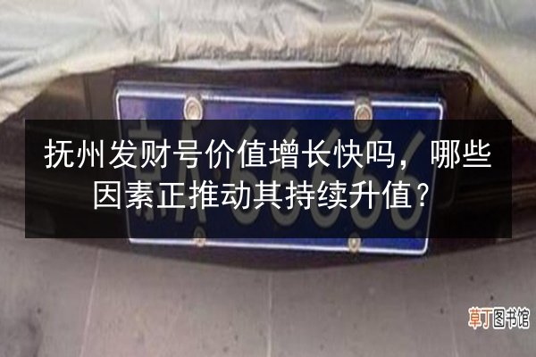 抚州发财号价值增长快吗，哪些因素正推动其持续升值？