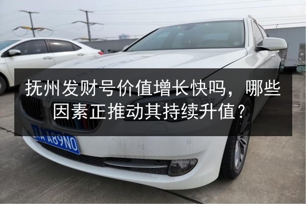 抚州发财号价值增长快吗，哪些因素正推动其持续升值？ 第2张