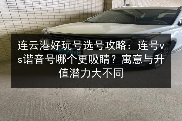 连云港好玩号选号攻略：连号vs谐音号哪个更吸睛？寓意与升值潜力大不同 第3张