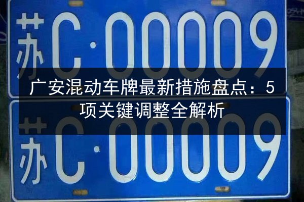 广安混动车牌最新措施盘点：5项关键调整全解析