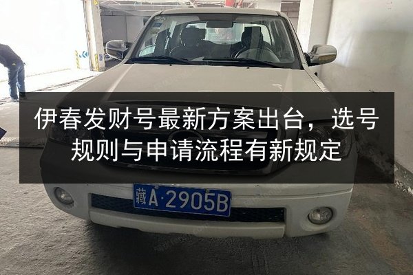 伊春发财号最新方案出台，选号规则与申请流程有新规定 第3张