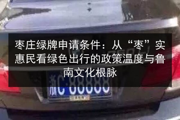 枣庄绿牌申请条件：从“枣”实惠民看绿色出行的政策温度与鲁南文化根脉 第3张