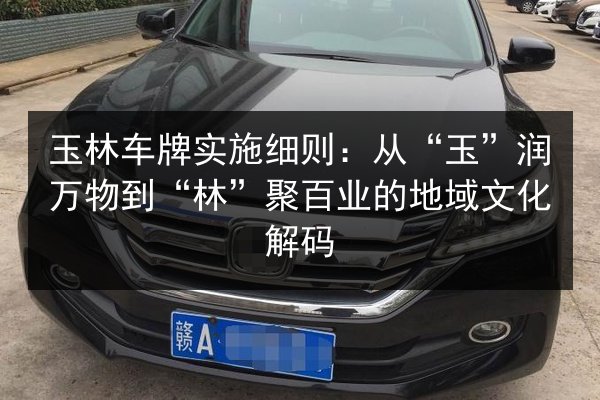 玉林车牌实施细则：从“玉”润万物到“林”聚百业的地域文化解码 第2张