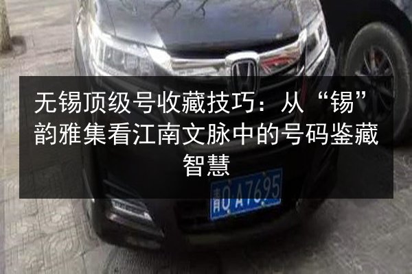 无锡顶级号收藏技巧:从“锡”韵雅集看江南文脉中的号码鉴藏智慧 第3张 无锡顶级号收藏技巧:从“锡”韵雅集看江南文脉中的号码鉴藏智慧 第3张
