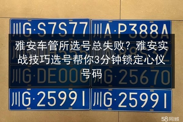 雅安车管所选号总失败？雅安实战技巧选号帮你3分钟锁定心仪号码 第2张