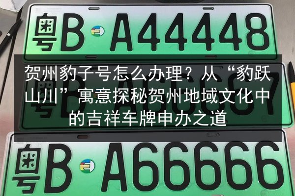 贺州豹子号怎么办理?从“豹跃山川”寓意探秘贺州地域文化中的吉祥车牌申办之道 第2张 贺州豹子号怎么办理?从“豹跃山川”寓意探秘贺州地域文化中的吉祥车牌申办之道 第2张