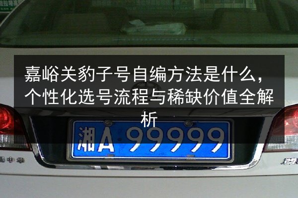 嘉峪关豹子号自编方法是什么，个性化选号流程与稀缺价值全解析