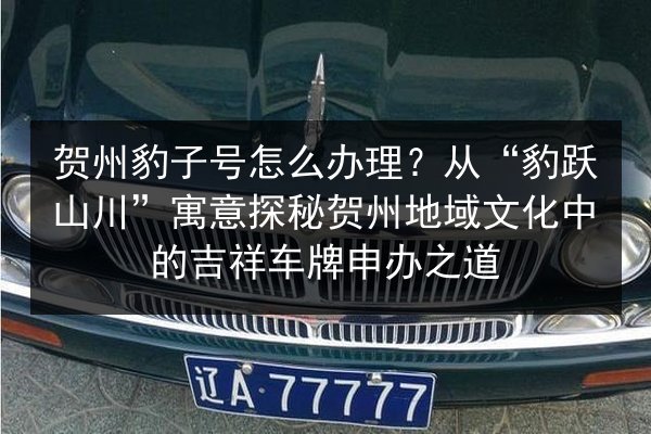 贺州豹子号怎么办理?从“豹跃山川”寓意探秘贺州地域文化中的吉祥车牌申办之道 第3张 贺州豹子号怎么办理?从“豹跃山川”寓意探秘贺州地域文化中的吉祥车牌申办之道 第3张