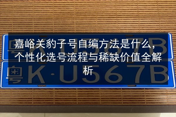 嘉峪关豹子号自编方法是什么,个性化选号流程与稀缺价值全解析 第2张 嘉峪关豹子号自编方法是什么,个性化选号流程与稀缺价值全解析 第2张