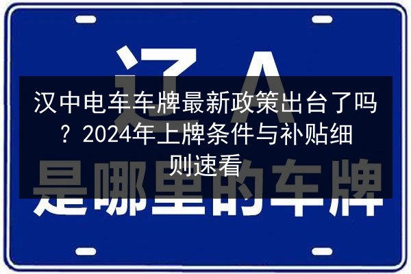 汉中电车车牌最新政策出台了吗?2024年上牌条件与补贴细则速看 第2张 汉中电车车牌最新政策出台了吗?2024年上牌条件与补贴细则速看 第2张