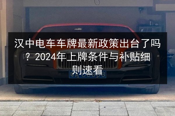 汉中电车车牌最新政策出台了吗?2024年上牌条件与补贴细则速看 第3张 汉中电车车牌最新政策出台了吗?2024年上牌条件与补贴细则速看 第3张