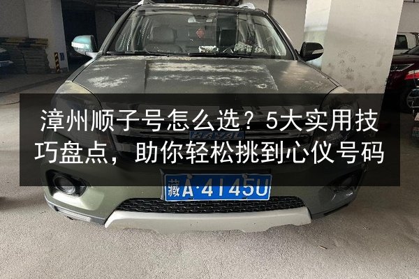 漳州顺子号怎么选?5大实用技巧盘点,助你轻松挑到心仪号码 第3张 漳州顺子号怎么选?5大实用技巧盘点,助你轻松挑到心仪号码 第3张