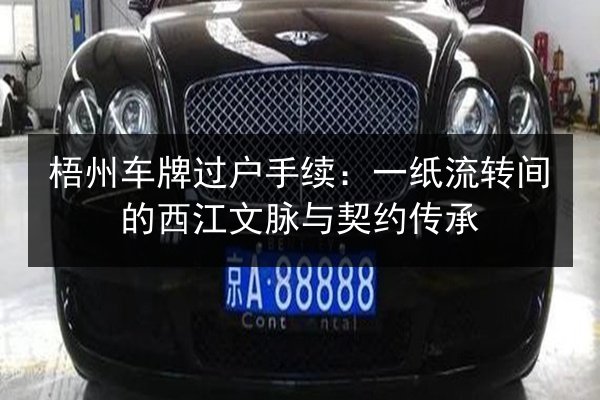 梧州车牌过户手续:一纸流转间的西江文脉与契约传承 第3张 梧州车牌过户手续:一纸流转间的西江文脉与契约传承 第3张