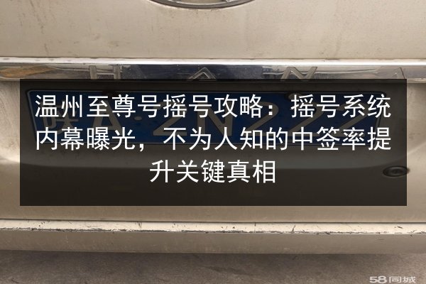 温州至尊号摇号攻略：摇号系统内幕曝光，不为人知的中签率提升关键真相