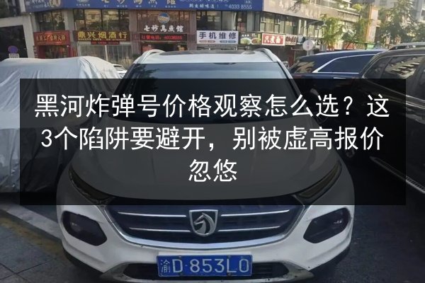 黑河炸弹号价格观察怎么选？这3个陷阱要避开，别被虚高报价忽悠