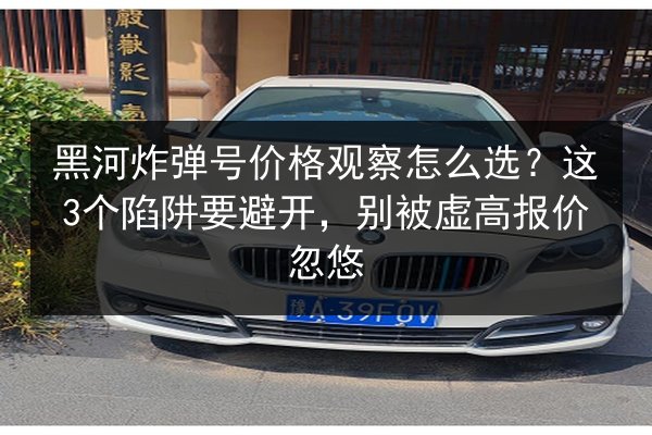 黑河炸弹号价格观察怎么选?这3个陷阱要避开,别被虚高报价忽悠 第3张 黑河炸弹号价格观察怎么选?这3个陷阱要避开,别被虚高报价忽悠 第3张
