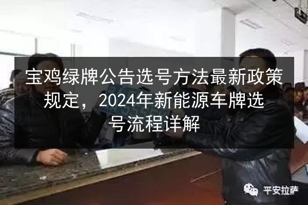 宝鸡绿牌公告选号方法最新政策规定，2024年新能源车牌选号流程详解