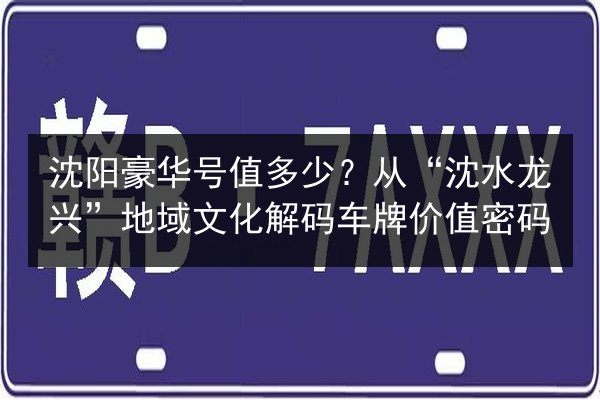 沈阳豪华号值多少？从“沈水龙兴”地域文化解码车牌价值密码