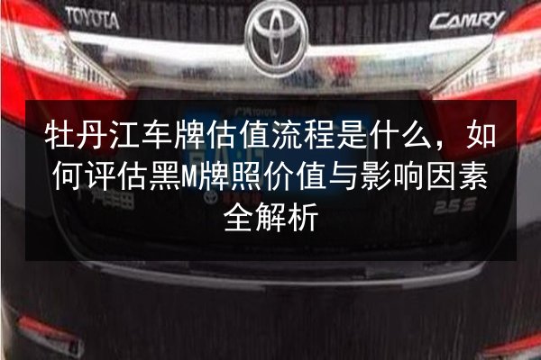 牡丹江车牌估值流程是什么，如何评估黑M牌照价值与影响因素全解析