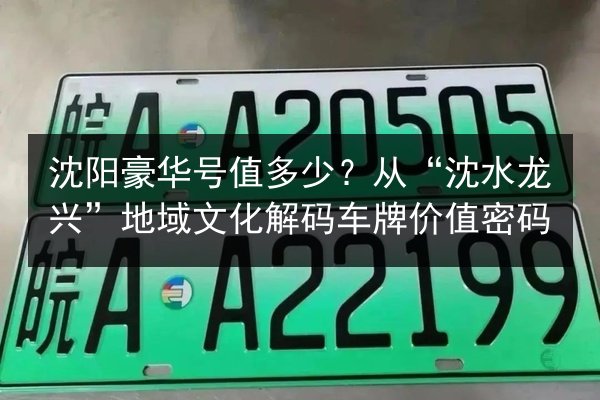 沈阳豪华号值多少?从“沈水龙兴”地域文化解码车牌价值密码 第3张 沈阳豪华号值多少?从“沈水龙兴”地域文化解码车牌价值密码 第3张