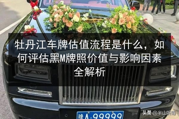 牡丹江车牌估值流程是什么,如何评估黑M牌照价值与影响因素全解析 第2张 牡丹江车牌估值流程是什么,如何评估黑M牌照价值与影响因素全解析 第2张