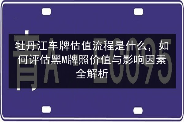 牡丹江车牌估值流程是什么,如何评估黑M牌照价值与影响因素全解析 第3张 牡丹江车牌估值流程是什么,如何评估黑M牌照价值与影响因素全解析 第3张
