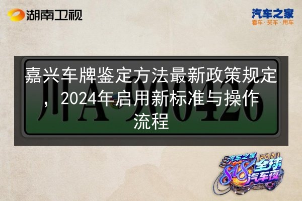 嘉兴车牌鉴定方法最新政策规定，2024年启用新标准与操作流程