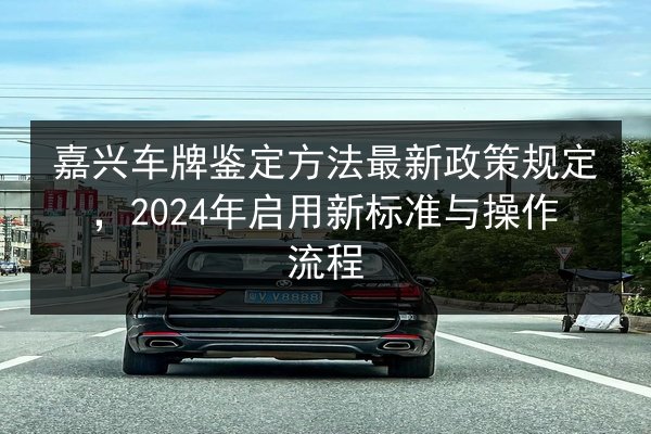 嘉兴车牌鉴定方法最新政策规定，2024年启用新标准与操作流程 第2张
