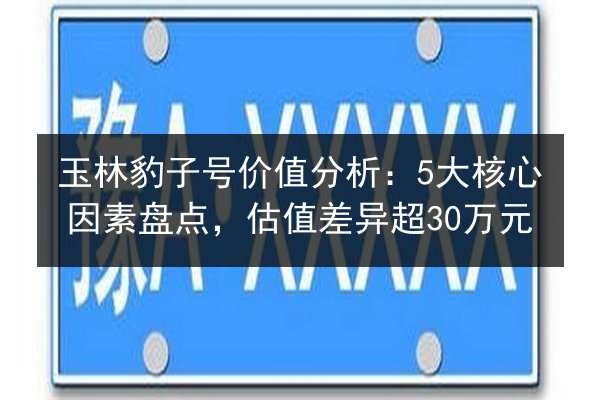 玉林豹子号价值分析：5大核心因素盘点，估值差异超30万元 第3张