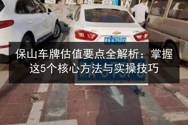 保山车牌估值要点全解析:掌握这5个核心方法与实操技巧 第2张 保山车牌估值要点全解析:掌握这5个核心方法与实操技巧 第2张