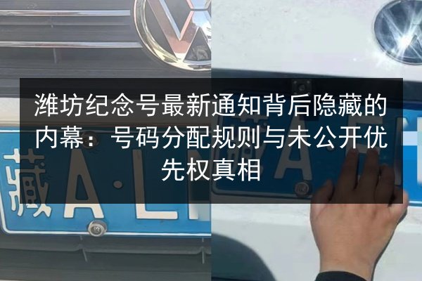 潍坊纪念号最新通知背后隐藏的内幕：号码分配规则与未公开优先权真相 第2张