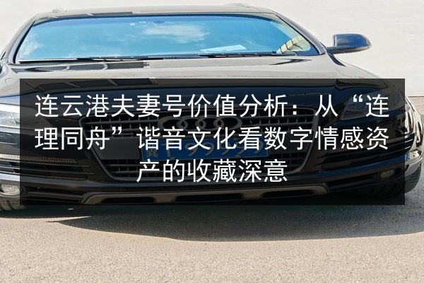 连云港夫妻号价值分析：从“连理同舟”谐音文化看数字情感资产的收藏深意 第3张