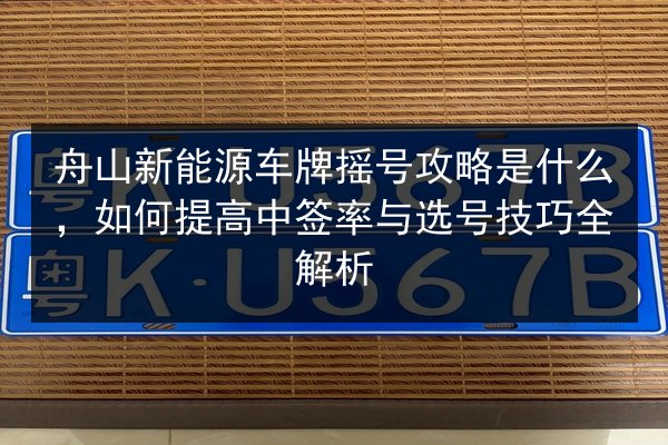 舟山新能源车牌摇号攻略是什么，如何提高中签率与选号技巧全解析