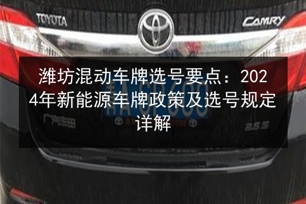 潍坊混动车牌选号要点：2024年新能源车牌政策及选号规定详解