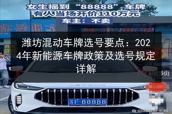 潍坊混动车牌选号要点：2024年新能源车牌政策及选号规定详解 第3张