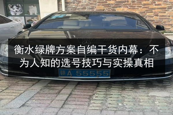 衡水绿牌方案自编干货内幕：不为人知的选号技巧与实操真相
