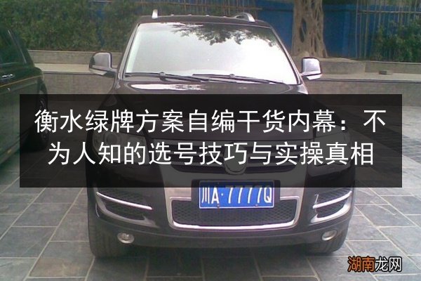 衡水绿牌方案自编干货内幕：不为人知的选号技巧与实操真相 第2张
