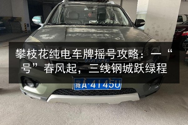 攀枝花纯电车牌摇号攻略:一“号”春风起,三线钢城跃绿程 第3张 攀枝花纯电车牌摇号攻略:一“号”春风起,三线钢城跃绿程 第3张