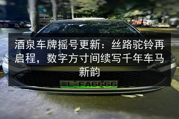 酒泉车牌摇号更新：丝路驼铃再启程，数字方寸间续写千年车马新韵 第3张