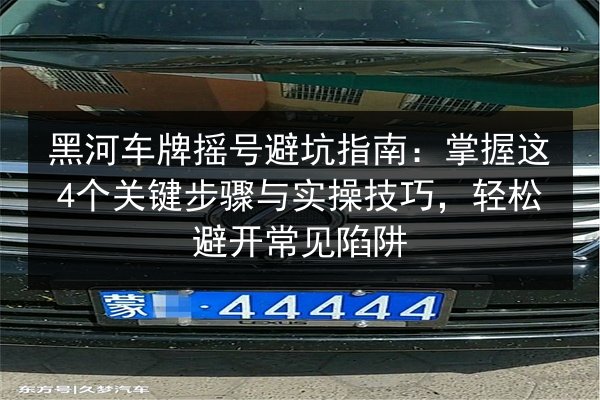 黑河车牌摇号避坑指南：掌握这4个关键步骤与实操技巧，轻松避开常见陷阱