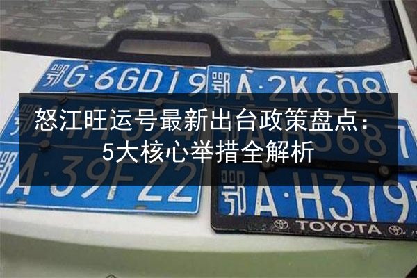怒江旺运号最新出台政策盘点：5大核心举措全解析